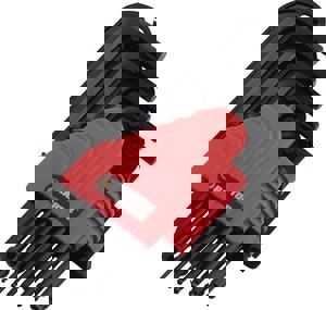 RAPTOR HEX KEY SET 12 PC